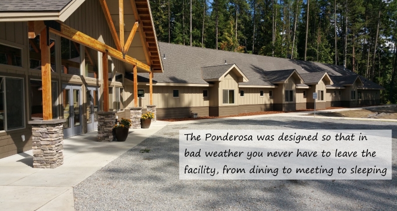 Ponderosa